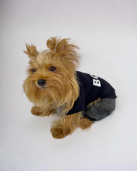 Chique Boss Tulum Köpek Kıyafeti - 7