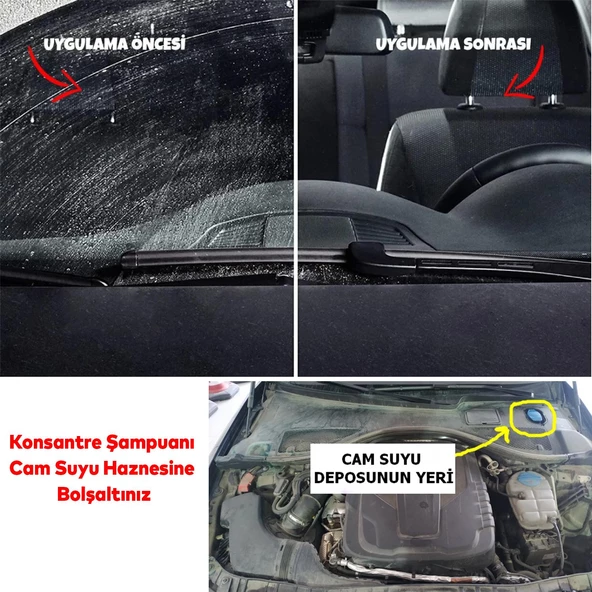 Automix Araba Araç Otomobil Oto Silecek Temizleme Konsantre Cam Suyu Şampuanı Çam Kokulu 50 ML - 3