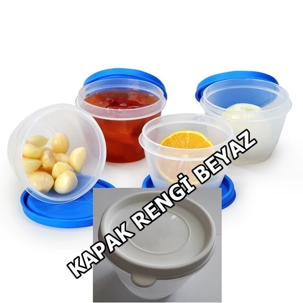 Moonstar Mıcro Gıda Saklama Kabı 4x175 ML MIC-410 - Resim 3