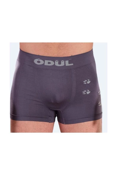ÖDÜL 2074 ERKEK BOXER ANTRASİT