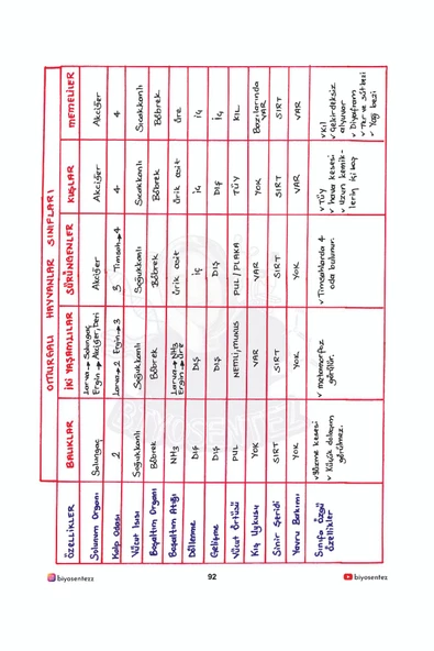 Yağmur Hoca ile TYT Biyosentez Biyoloji Not Defteri Tamamı El Yazılı - 4