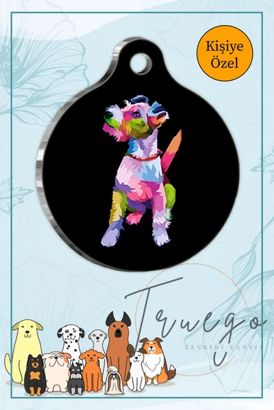 Illustration Fox Terrier Kedi Köpek Künyesi