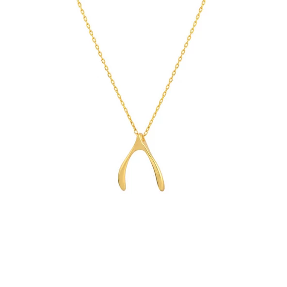 925 Ayar Gümüş Lades Kemiği Kolye - Resim 2