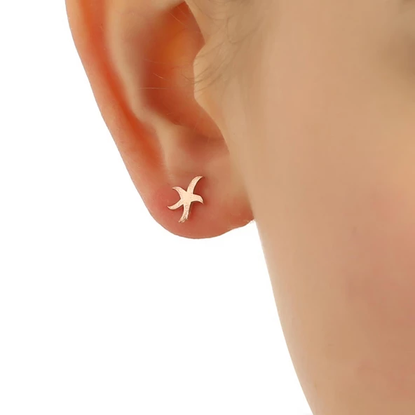 925 Ayar Gümüş Minik Deniz Yıldızı Küpe - Resim 8