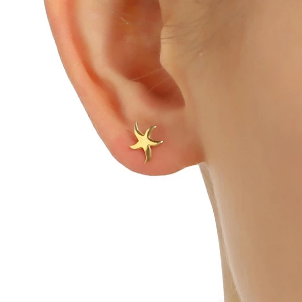 925 Ayar Gümüş Minik Deniz Yıldızı Küpe - Resim 7