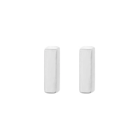 925 Ayar Gümüş Minik Bar Küpe ürün görseli 1