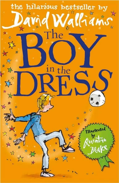 The Boy in The Dress David Walliams ürün görseli 1