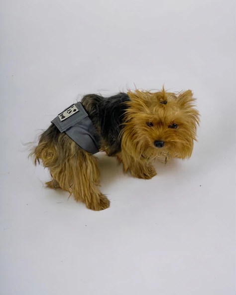 Köpek Çiş Bel Bandı Yıkanabilir Sızdırmaz Köpek Kıyafeti - 3