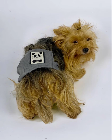 Köpek Çiş Bel Bandı Yıkanabilir Sızdırmaz Köpek Kıyafeti - 4