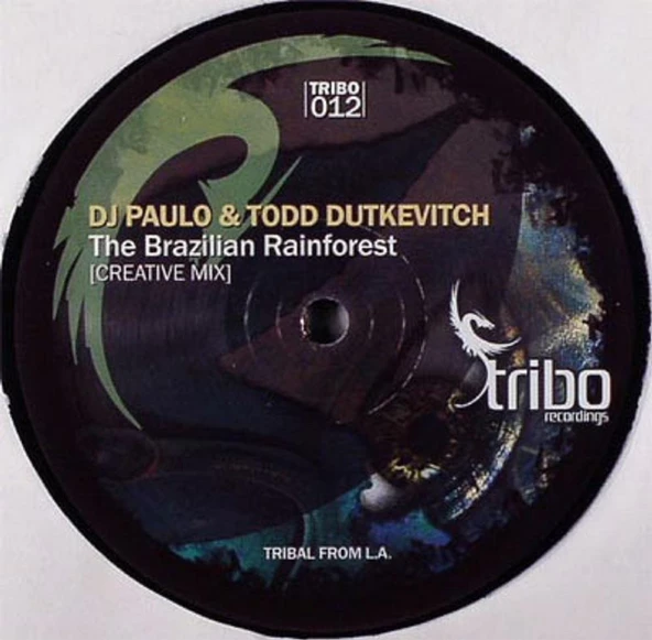 DJ Paulo & Todd Dutkevitch – The Brazilian Rainforest / This Is Why You're Here - House Vinly Plak alithestereo