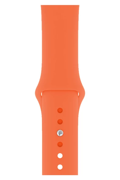 İPHONE 42-44MM SİLİKON KORDON - 9
