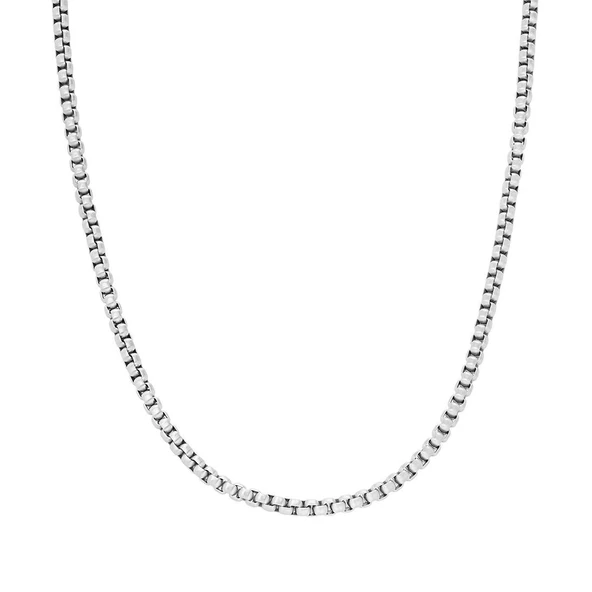 Fossıl JF04505-040 Erkek Kolye