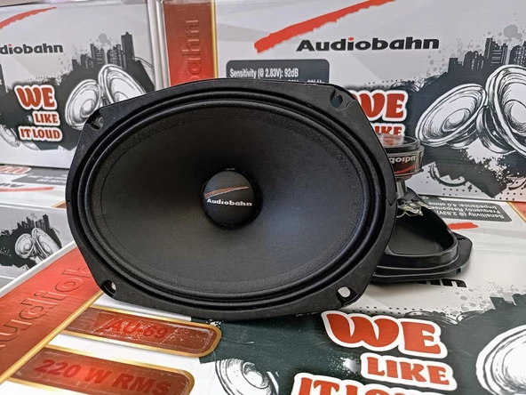 AUDİOBAHN AU69 220 RMS Oval Midrange Takımı - 3