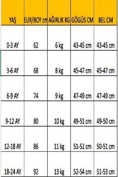 Ladybirds Erkek Bebek Kolsuz 3'lü Çıtçıtlı Body - 4