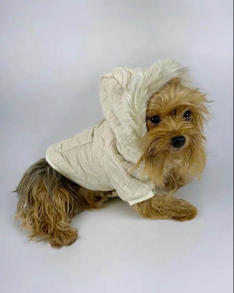 Cream Comfy Köpek Montu, Köpek Ceketi, Köpek Dış Giyim - Resim 8