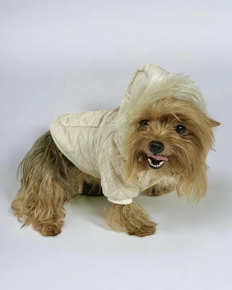 Cream Comfy Köpek Montu, Köpek Ceketi, Köpek Dış Giyim - Resim 10