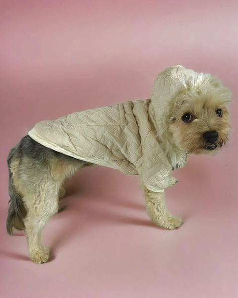 Cream Comfie Köpek Montu, Köpek Ceketi, Köpek Dış Giyim - 2