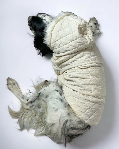 Cream Comfly Köpek Montu, Orta ve Büyük Irklar için - 2