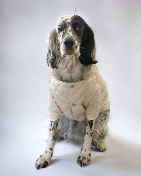 Cream Comfly Köpek Montu, Orta ve Büyük Irklar için - 7