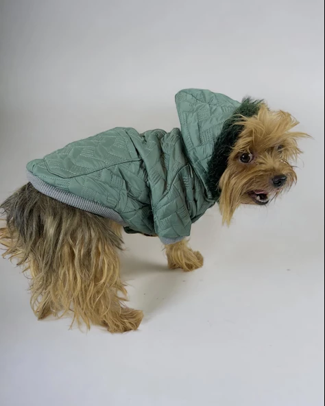 Green Comfy Köpek Montu, Köpek Ceketi, Köpek Dış Giyim - 3
