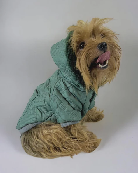 Green Comfy Köpek Montu, Köpek Ceketi, Köpek Dış Giyim - 1