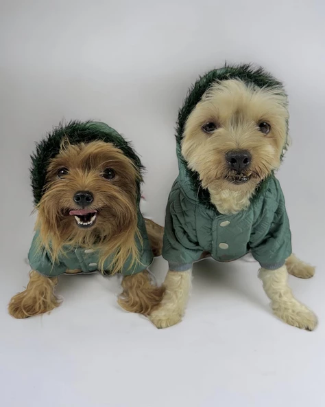 Green Comfy Köpek Montu, Köpek Ceketi, Köpek Dış Giyim - 6