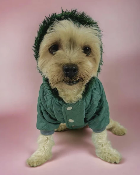 Green Comfie Köpek Montu, Köpek Ceketi, Köpek Dış Giyim - 9