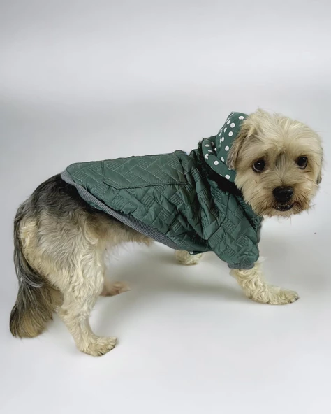 Green Comfie Köpek Montu, Köpek Ceketi, Köpek Dış Giyim - 2