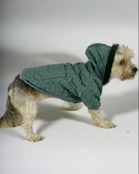 Green Comfie Köpek Montu, Köpek Ceketi, Köpek Dış Giyim - 10