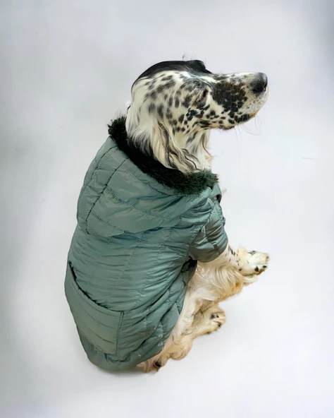 Green Comfly Köpek Montu, Orta ve Büyük Irklar için - 2