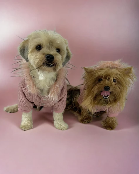 Pink Comfie Köpek Montu, Köpek Ceketi, Köpek Dış Giyim - 7