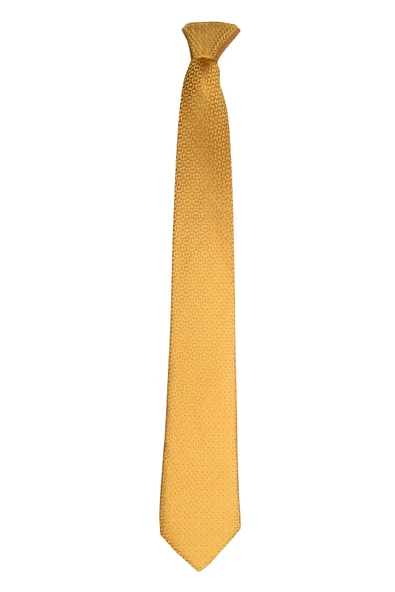 Cengiz İnler Kendinden Desenli Mendilli Mikrofiber Erkek Kravat - Resim 7