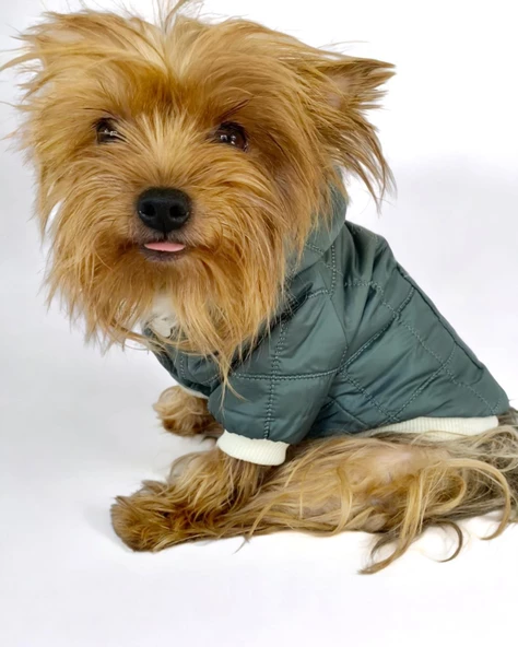 Poof Green Köpek Montu, Köpek Ceketi, Köpek Dış Giyim - 11