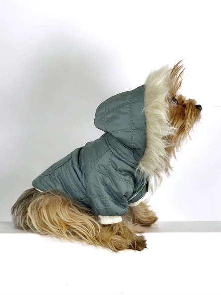 Poof Green Köpek Montu, Köpek Ceketi, Köpek Dış Giyim - 4