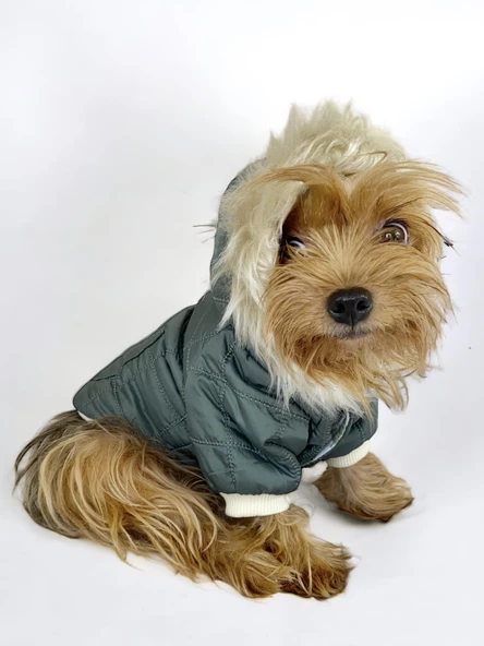 Poof Green Köpek Montu, Köpek Ceketi, Köpek Dış Giyim - 3