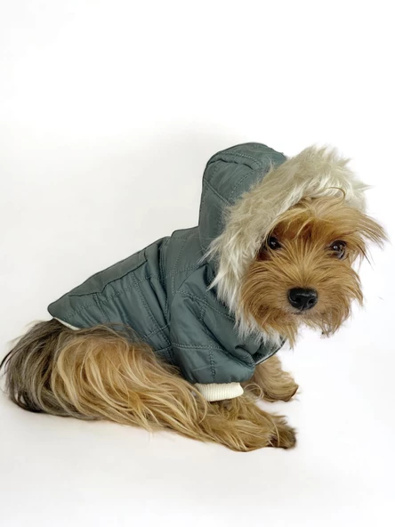 Poof Green Köpek Montu, Köpek Ceketi, Köpek Dış Giyim - 6