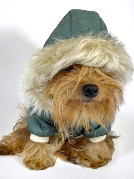 Poof Green Köpek Montu, Köpek Ceketi, Köpek Dış Giyim - 7