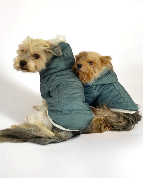 Poof Green Köpek Montu, Köpek Ceketi, Köpek Dış Giyim - 2