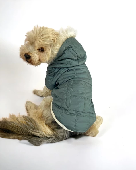 Poof Green Köpek Montu, Köpek Ceketi, Köpek Dış Giyim - 5