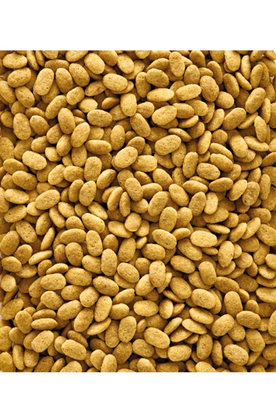 Nutribird P19 Original, Papağan Pelet Yem 250g (Deneme Paketi)