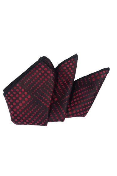 Cengiz İnler Puantiye Desenli Mendilli Mikrofiber Erkek Kravat - Resim 6