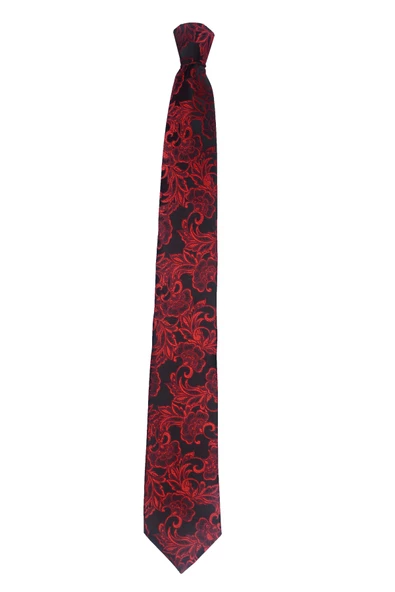 Cengiz İnler Sarmaşık Desenli Mendilli Mikrofiber Erkek Kravat - 6