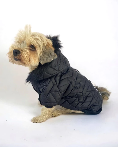 Luxy Black Köpek Montu, Köpek Ceketi, Köpek Dış Giyim - 2