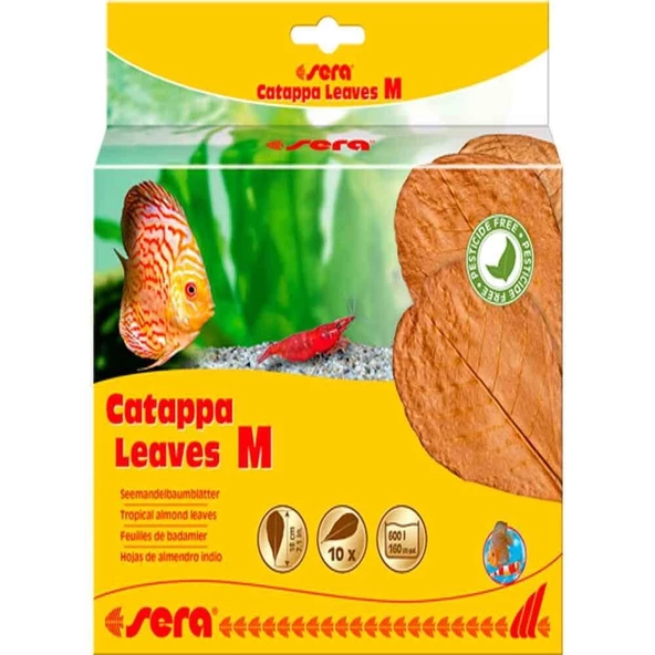 Sera Catappa Yaprağı M 18 cm 10 Adet