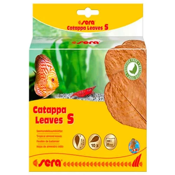 Sera Catappa Yaprağı S 14 Cm 10lu Paket