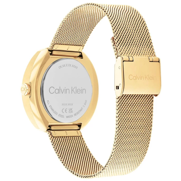 Calvin Klein CK25200339 Kadın Kol Saati - Resim 3