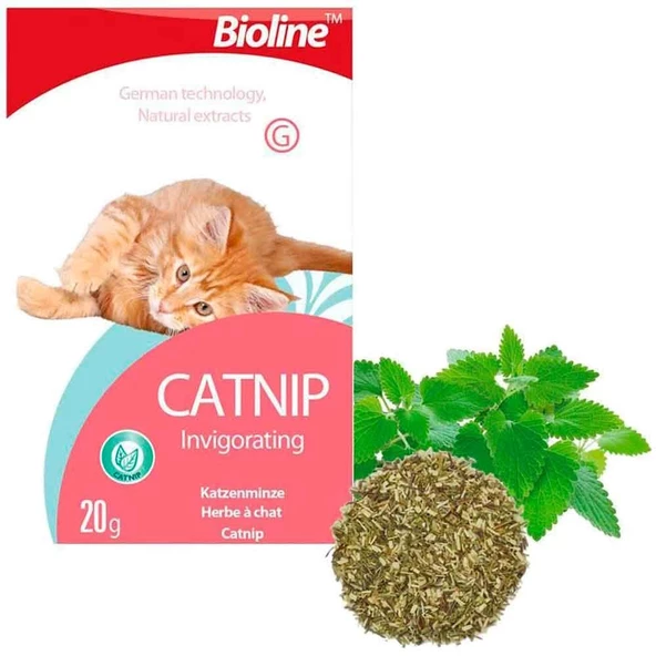 Bioline Catnip Doğal Kedi Nanesi 20 Gr