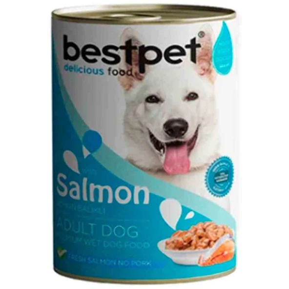 BestPet Somonlu Soslu Yetişkin Köpek Konservesi 400gr