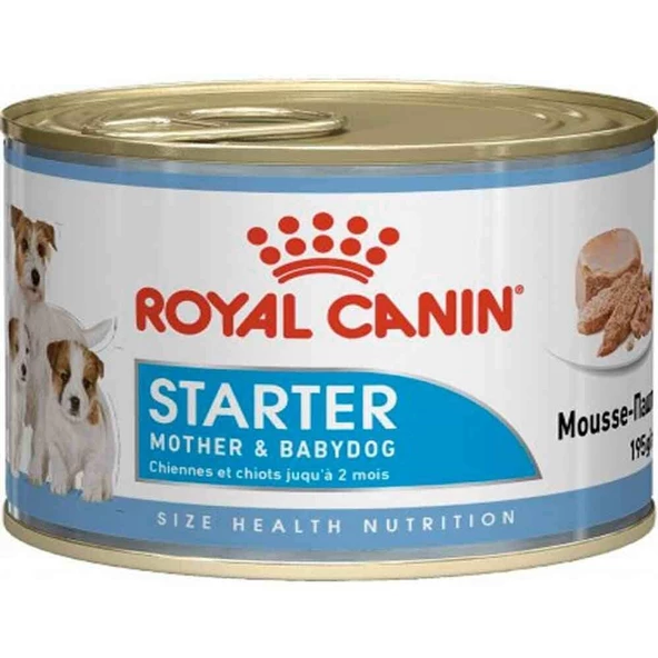 Royal Canin Starter Mousse Yavru Köpek Konservesi 195 Gr - 1