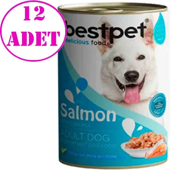 BestPet Somonlu Soslu Yetişkin Köpek Konservesi 400gr 12 AD